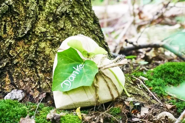 Waldbestattung Bad Muender Hameln Springe Erinnerung am Baum
