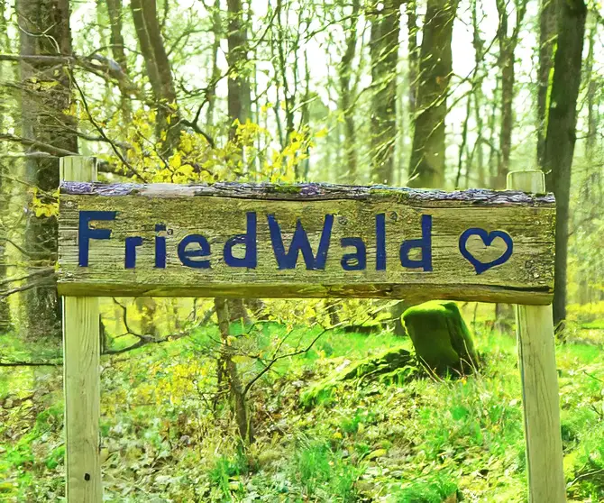 Baumbestattung im FriedWald Baumbestattung im FriedWald