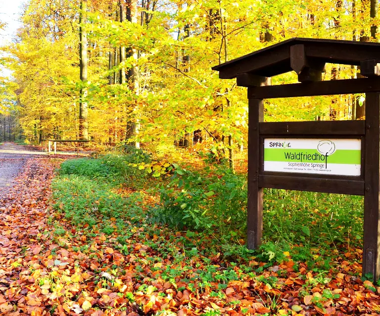 Baumbestattung im Waldfriedhof Bad Münder und Springe Baumbestattung im Waldfriedhof Bad Münder und Springe
