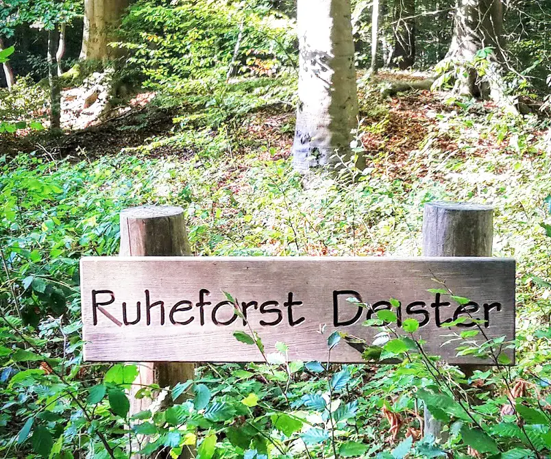 Waldbestattung im RuheForst Deister Waldbestattung im RuheForst Deister